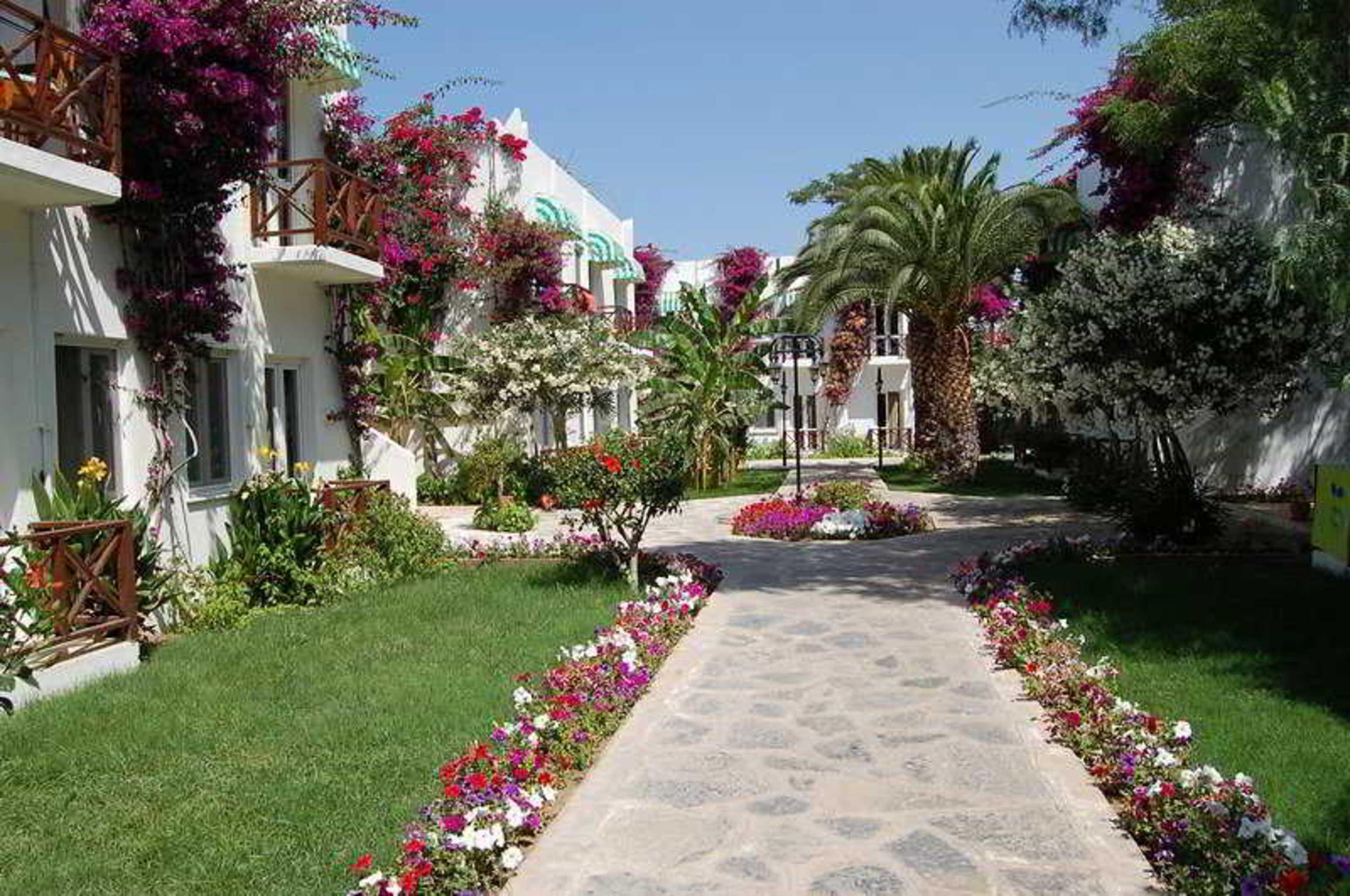 Petunya Beach Resort Ortakent Ngoại thất bức ảnh