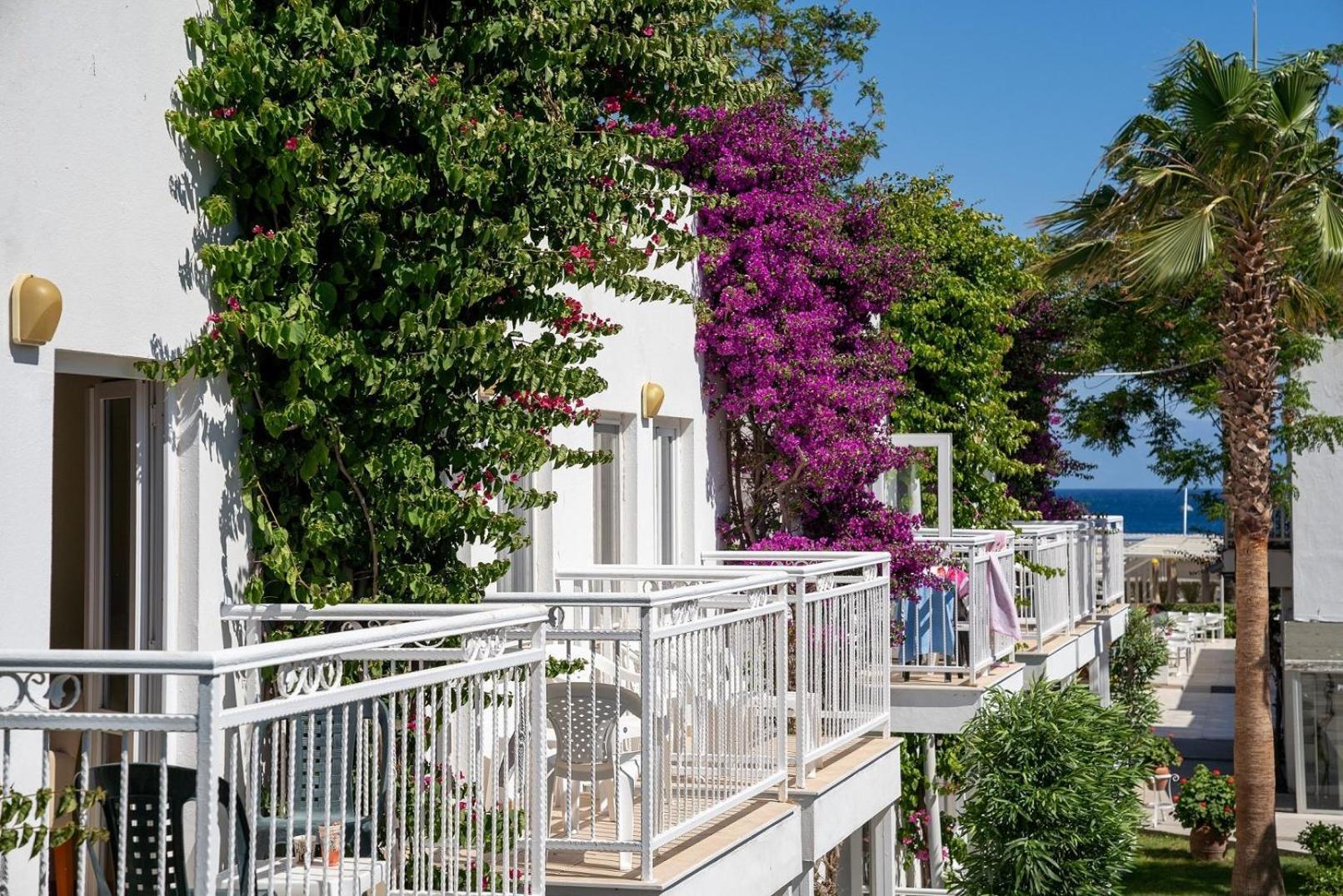 Petunya Beach Resort Ortakent Ngoại thất bức ảnh